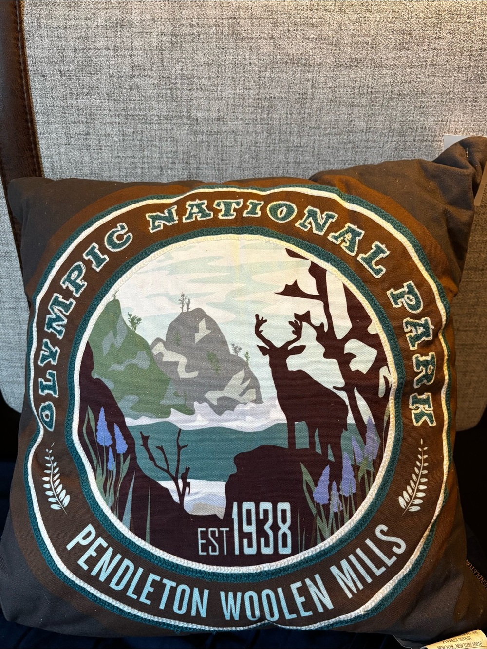 Pendleton Woolen Mills Olympic National Park Pillow - Brown & Teal